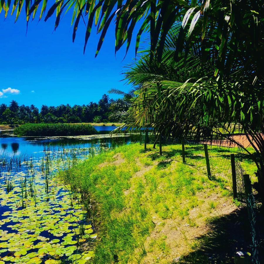 Reserva Do Paiva - A Melhor Casa Para Temporada Recife Ngoại thất bức ảnh